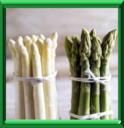 ASPERGE - ASPARAGUS OFFICINALIS