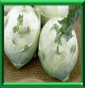 CHOU RAVE - BRASSICA OLERACEA Variété GONGYLODES