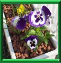 ENGRAIS - DOSSIER COMPLET