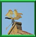 Vents et jardins