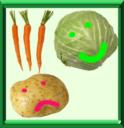 COMPAGNONNAGE DES VEGETAUX - COUP DE POUCE