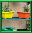 JARDINIERE D'AROMATIQUES - COUP DE POUCE