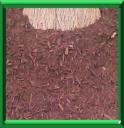PAILLAGE ou PAILLIS ou MULCH - COUP DE POUCE