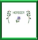 HERBIER - CONSEILS ET REALISATION