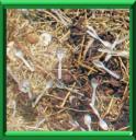 COMPOST ou COMPOSTAGE - COUP DE POUCE