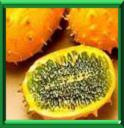 KIWANO - CUCUMIS METULLIFERUS