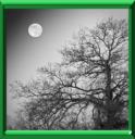 CALENDRIER LUNAIRE NOVEMBRE 2017