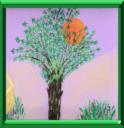 CALENDRIER LUNAIRE - ANNEE 2009